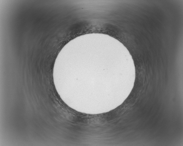 X0000052970769200507300136