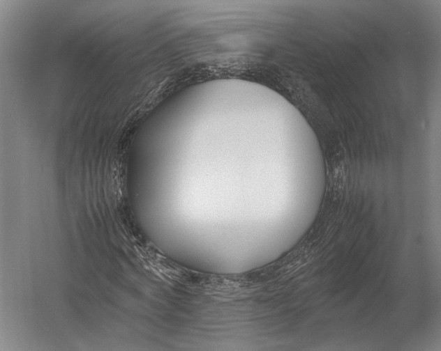 X0000052970772200507300136