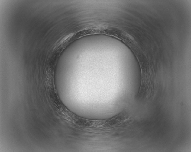 X0000052970773200507300136