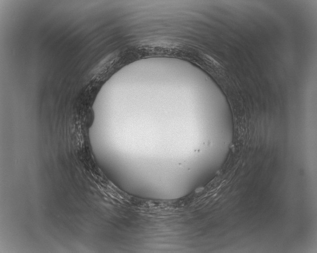 X0000052970774200507300136