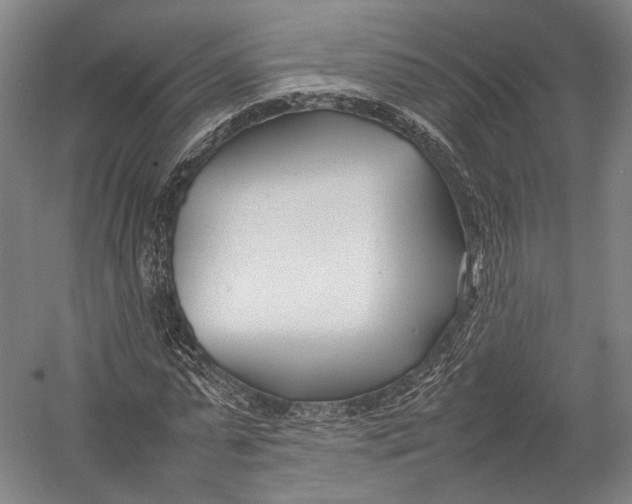 X0000052970775200507300136