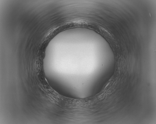 X0000052970776200507300136
