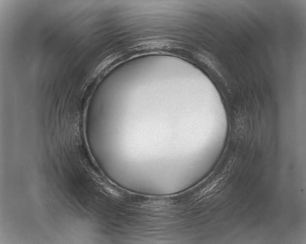 X0000052970778200507300136