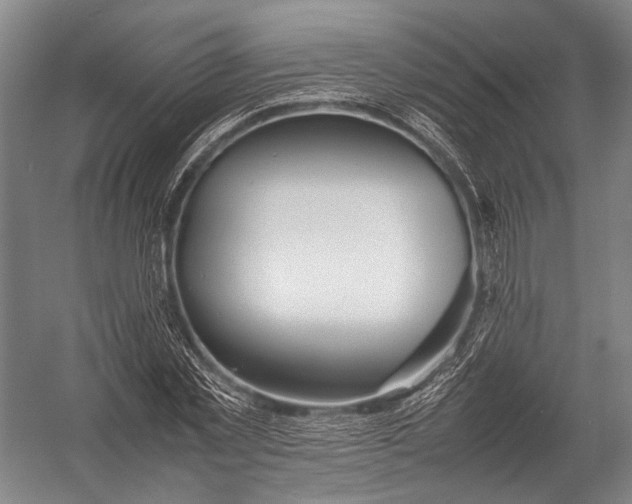 X0000052970781200507300136
