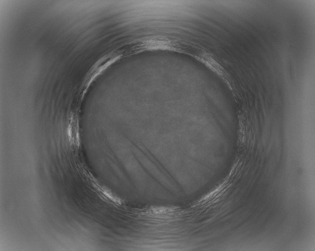 X0000052970782200507300136