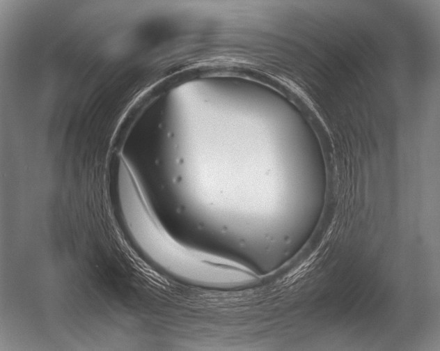 X0000052970783200507300136