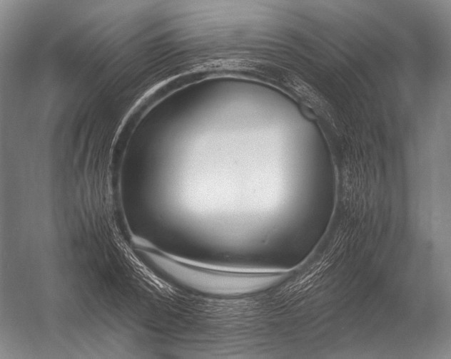 X0000052970784200507300136