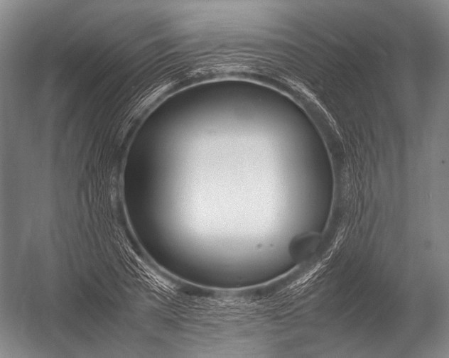 X0000052970785200507300136