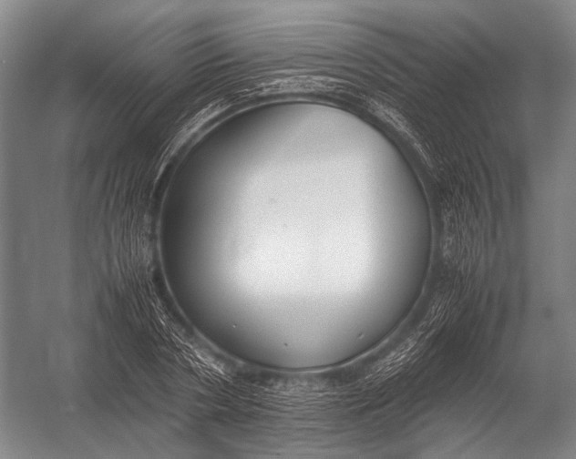 X0000052970786200507300136