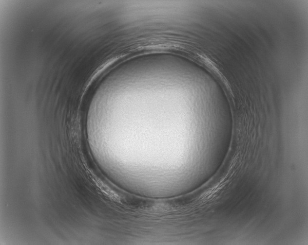 X0000052970787200507300136