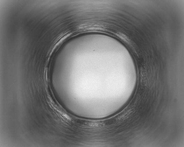 X0000052970790200507300136