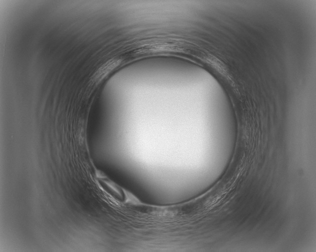 X0000052970793200507300136