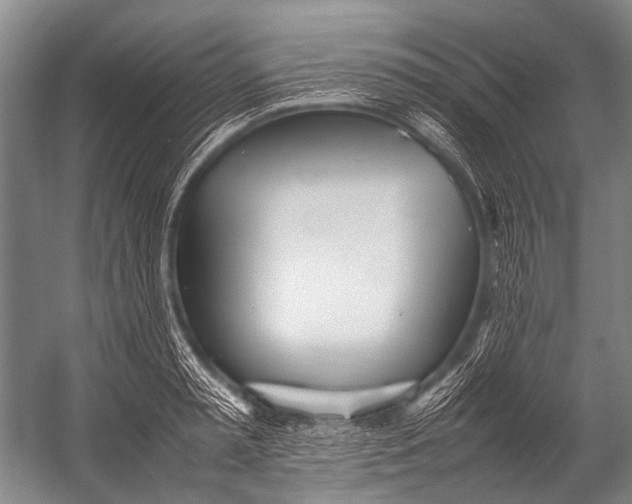 X0000052970797200507300136