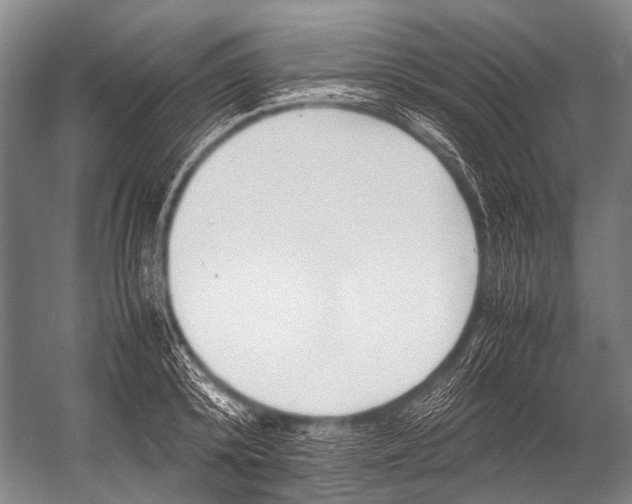 X0000052970800200507300136