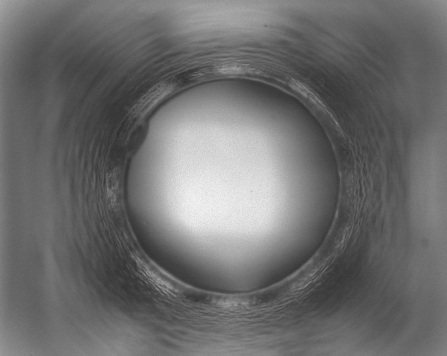 X0000052970801200507300136