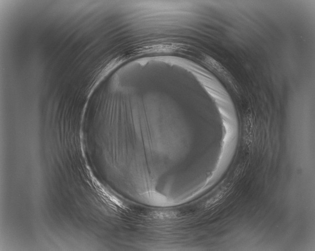 X0000052970802200507300136