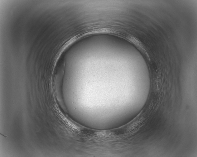X0000052970805200507300136