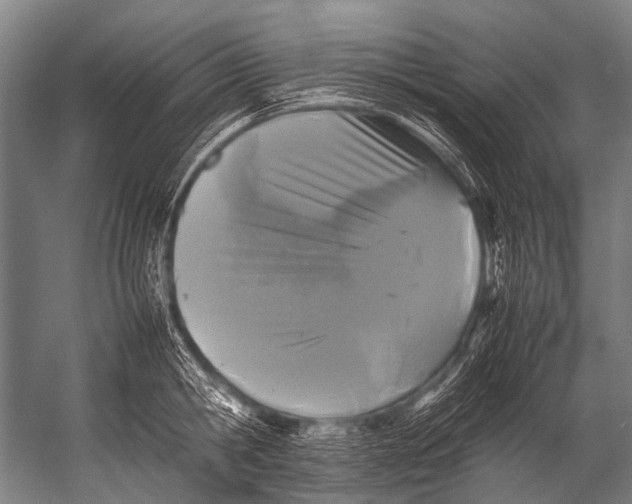 X0000052970806200507300136