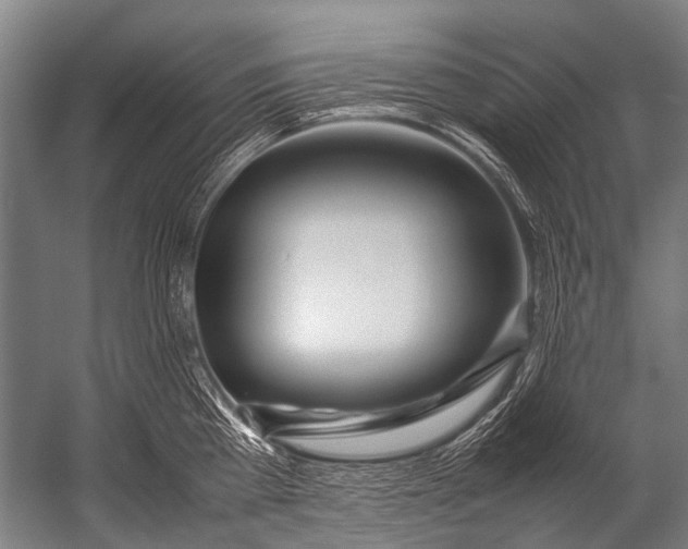 X0000052970809200507300136