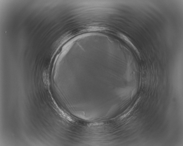 X0000052970810200507300136