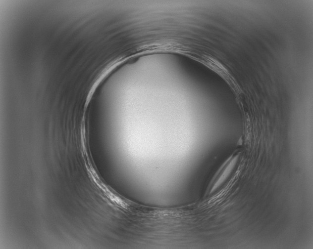 X0000052970812200507300136