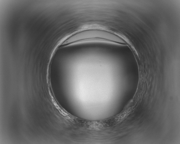 X0000052970815200507300136