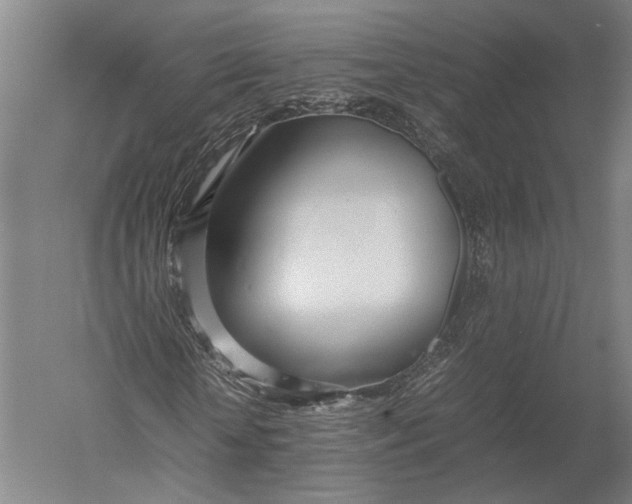 X0000052970818200507300135