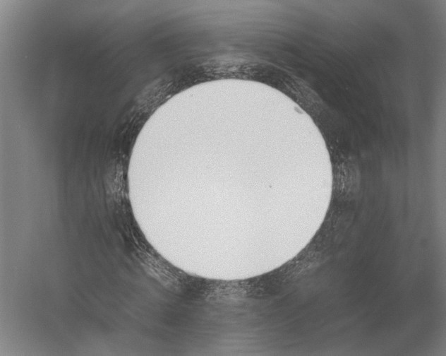 X0000052970820200507300135