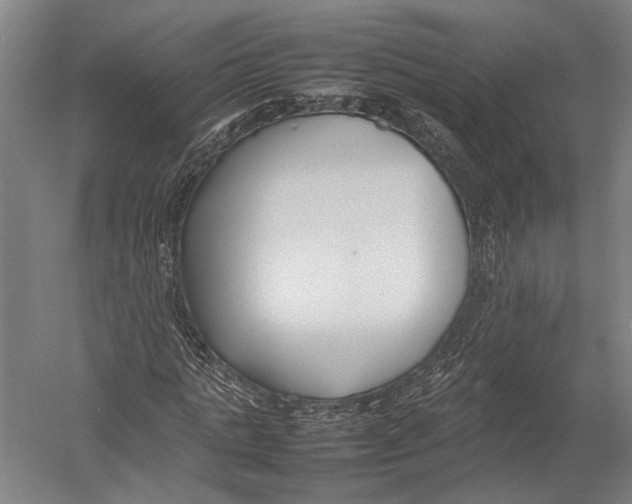 X0000052970821200507300135