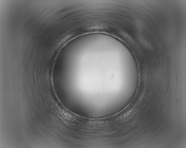 X0000052970825200507300135
