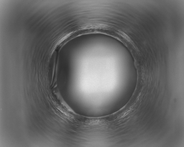 X0000052970826200507300135
