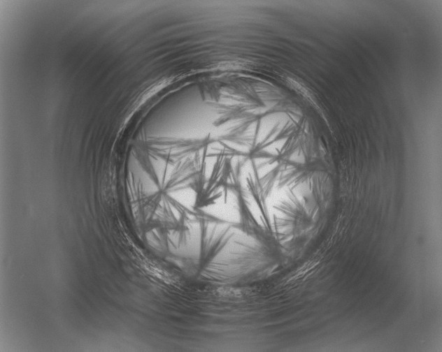 X0000052970827200507300135