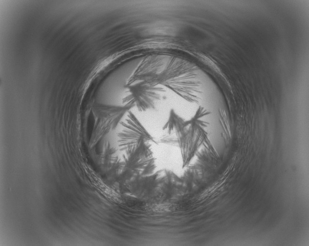 X0000052970831200507300135