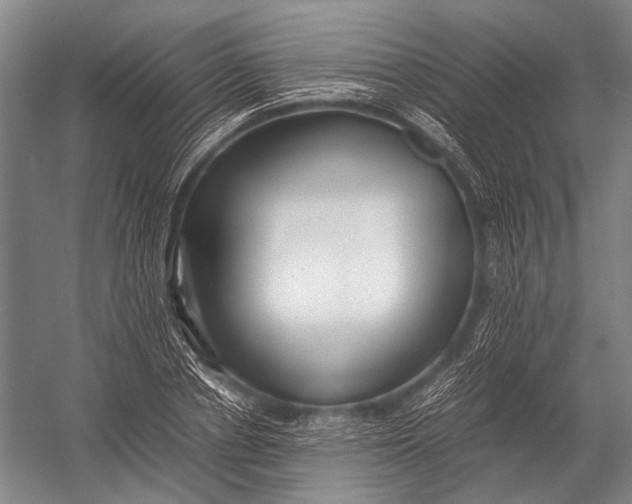 X0000052970834200507300135