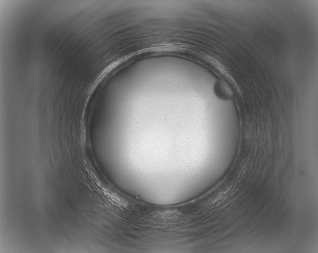 X0000052970837200507300135