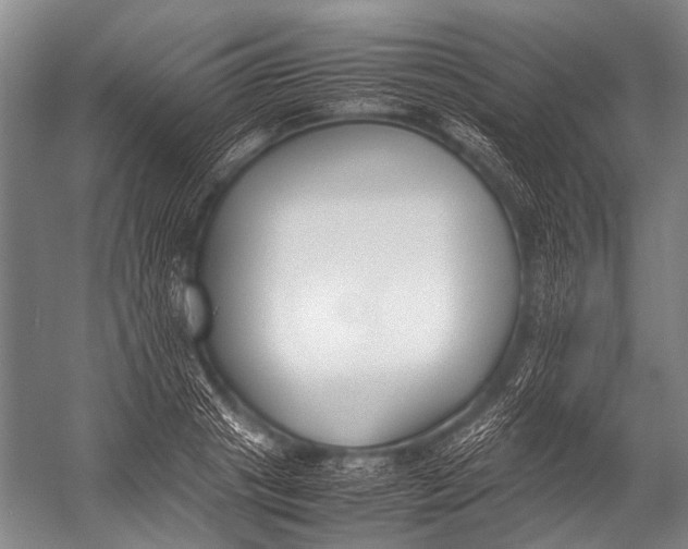X0000052970841200507300135