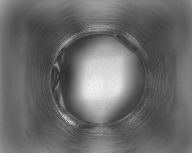 X0000052970842200507300135