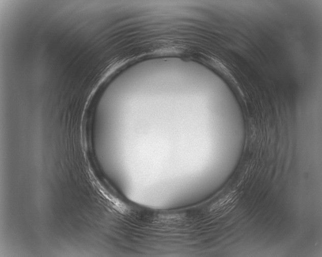 X0000052970843200507300135