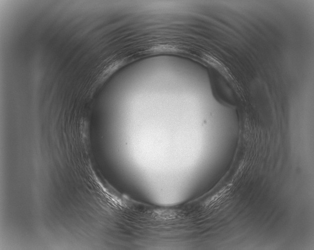 X0000052970849200507300135