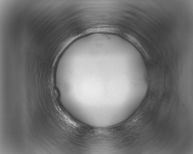 X0000052970852200507300135