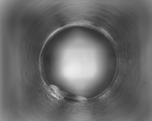 X0000052970854200507300135