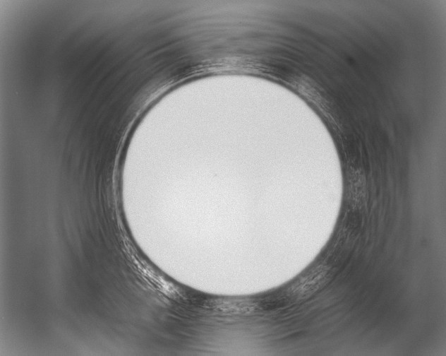 X0000052970856200507300135