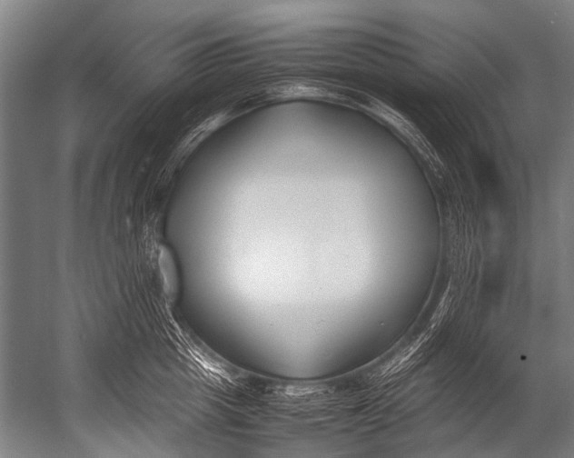 X0000052970857200507300135