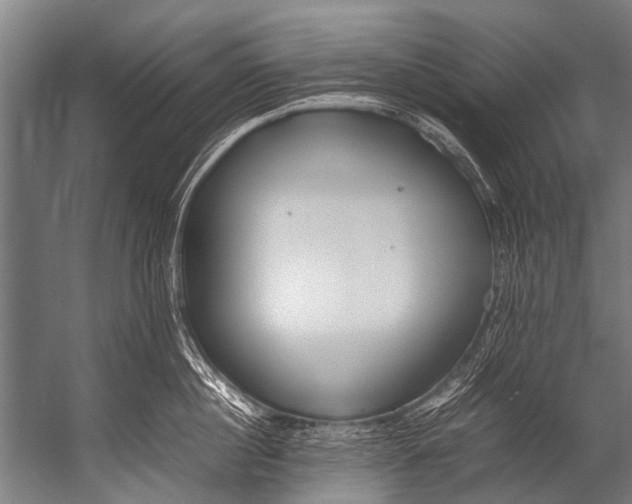 X0000052970860200507300136