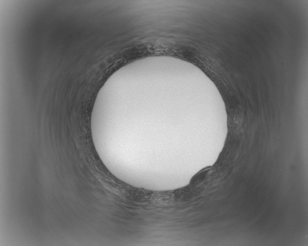 X0000052970865200507300135
