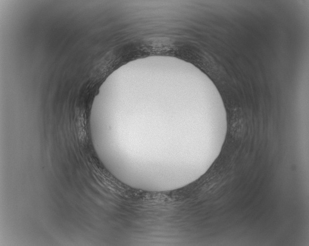 X0000052970866200507300135