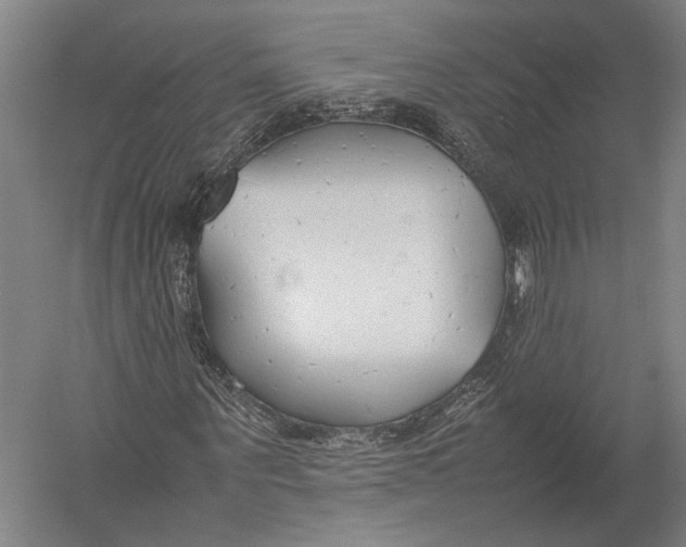 X0000052970867200507300135