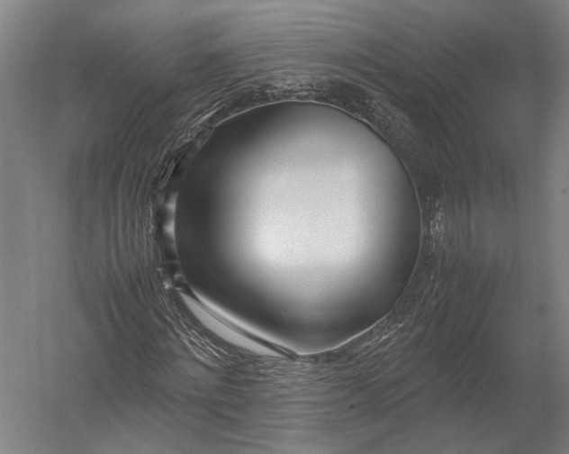 X0000052970868200507300135
