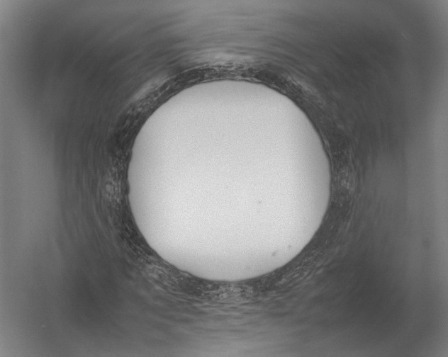 X0000052970869200507300135
