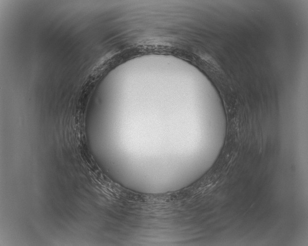 X0000052970870200507300135